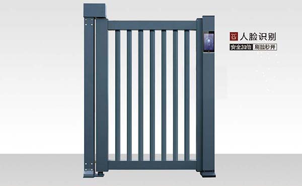小门-L20(电动)