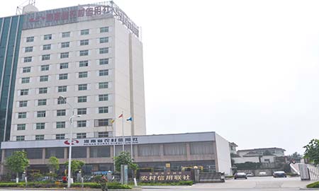 信阳市平桥区农村信用联社